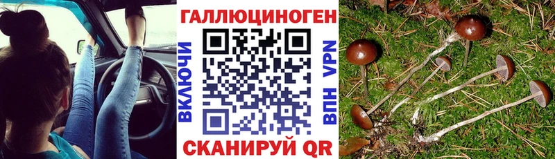 купить закладку Минеральные Воды Псилоцибиновые грибы Psilocybe